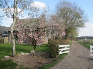 Boederijcamping de Jobinghoeve in Grolloo